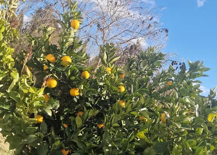 La Perla Blanca Ξενοδοχείο