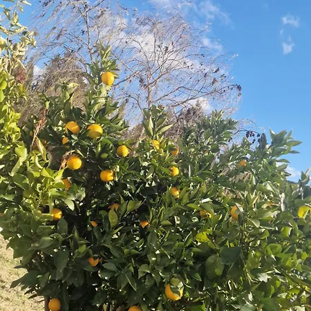 Casa Rural Boutique Hotel Ronda 호텔